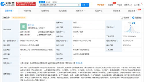 紫光股份云南布局數(shù)字經(jīng)濟新篇章 成立數(shù)字科技公司加碼數(shù)據(jù)處理與存儲服務