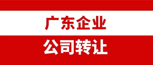 嶺南數字浪潮 解析廣東企業(yè)數據處理與存儲服務的雙引擎